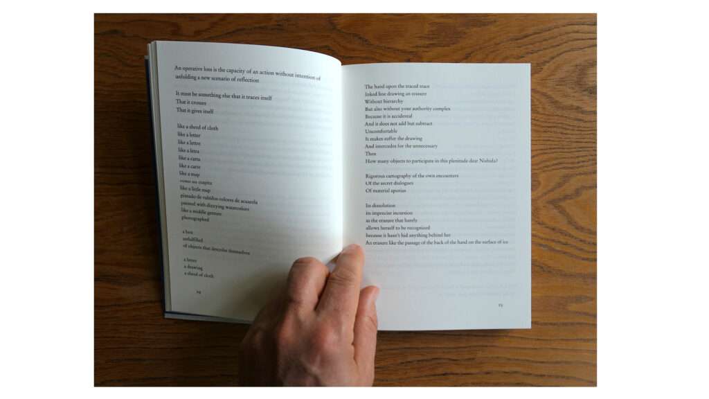 Wandering Echoes: Handbook of Operative Losses Wandering Echoes: Handbook of Operative Losses - Image 2