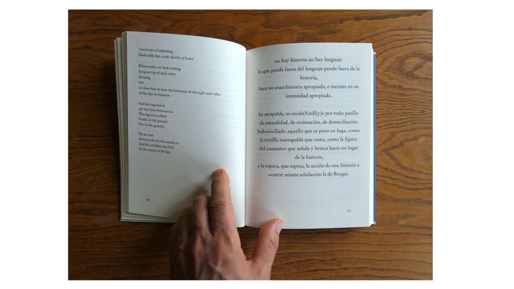Wandering Echoes: Handbook of Operative Losses Wandering Echoes: Handbook of Operative Losses - Image 3