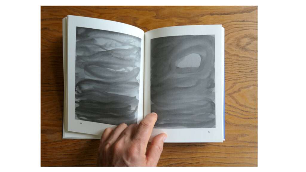 Wandering Echoes: Handbook of Operative Losses Wandering Echoes: Handbook of Operative Losses - Image 4