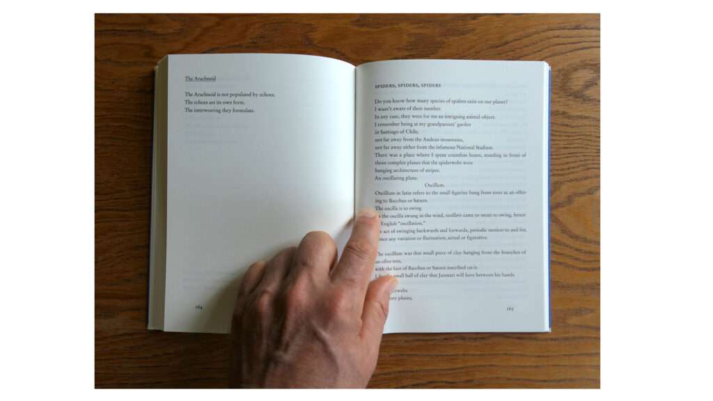 Wandering Echoes: Handbook of Operative Losses Wandering Echoes: Handbook of Operative Losses - Image 6