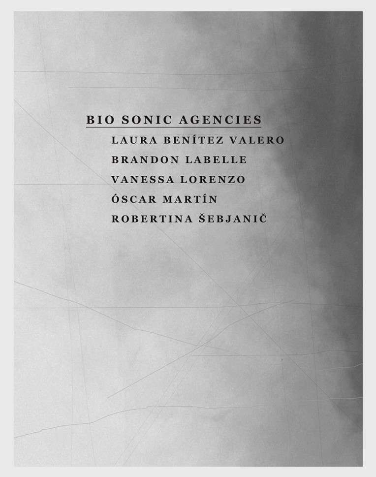 Bio_Sonic_Agencies