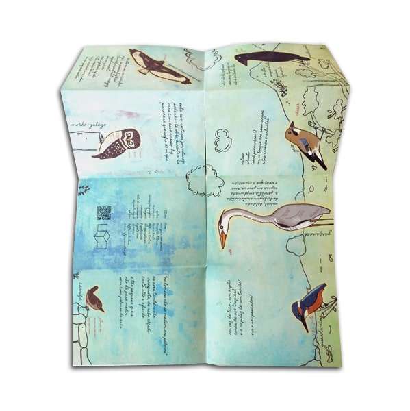 Aves – mini guia com poesia Aves – mini guia com poesia - Image 2