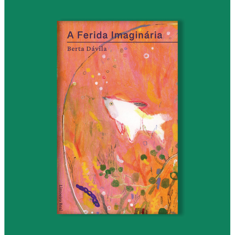 A Ferida Imaginária