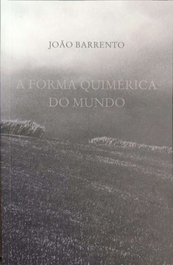A forma quimérica do mundo