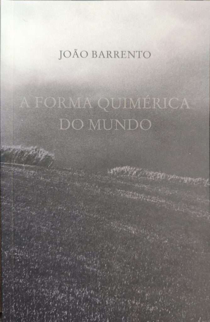 A forma quimérica do mundo