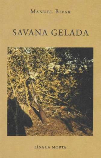 Savana Gelada Savana Gelada